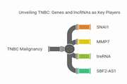SBF2 AS1 and TreRNA: novel lncRNA players in triple negative breast cancer pathogenesis